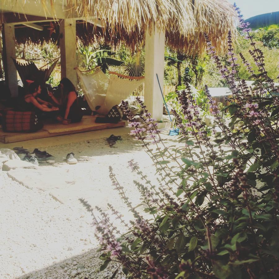 Hostel Ahau San Marcos La Laguna Εξωτερικό φωτογραφία